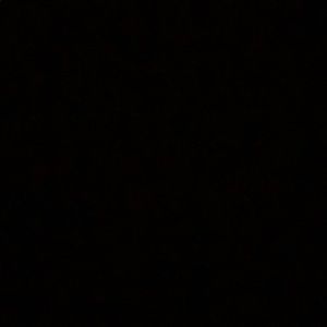 Meet your Posher, Darnell